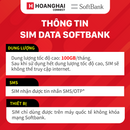 eSim data softbank 100GB