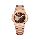 Đồng hồ cơ nam Alexander Ferros 6012