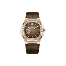 Đồng hồ cơ Carnival 8128G - Nhận Order