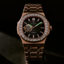 Đồng hồ cơ nam Alexander Ferros Nautilus 6091R - Nhận Order