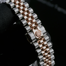 Đồng hồ cơ nữ Alexander Ferros 8201