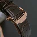 Đồng hồ cơ nam Alexander Ferros Nautilus 6102R - Nhận Order