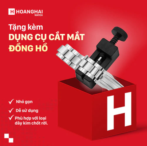Đồng hồ cơ nam Alexander Ferros 8132