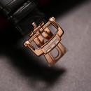 Đồng hồ cơ nam Alexander Ferros Nautilus 6091R - Nhận Order