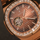 Đồng hồ cơ nam Alexander Ferros Nautilus 6091R - Nhận Order